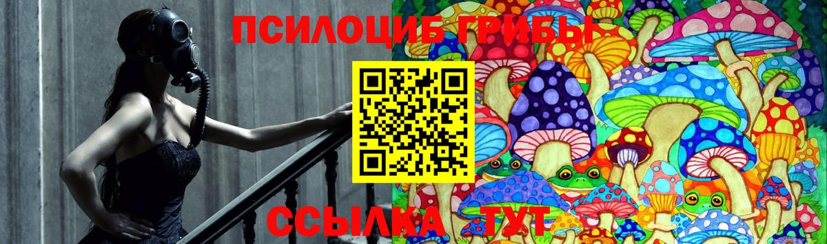 Псилоцибиновые грибы Cubensis Будённовск